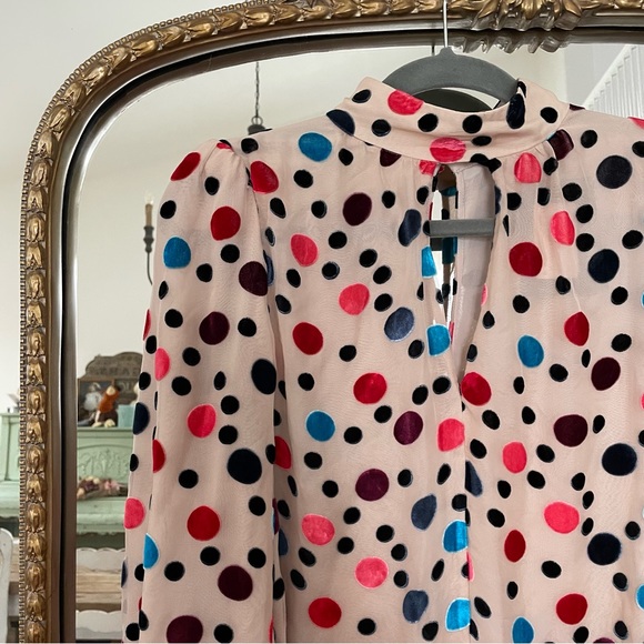 Saloni Mini Dress - Picture 6 of 9